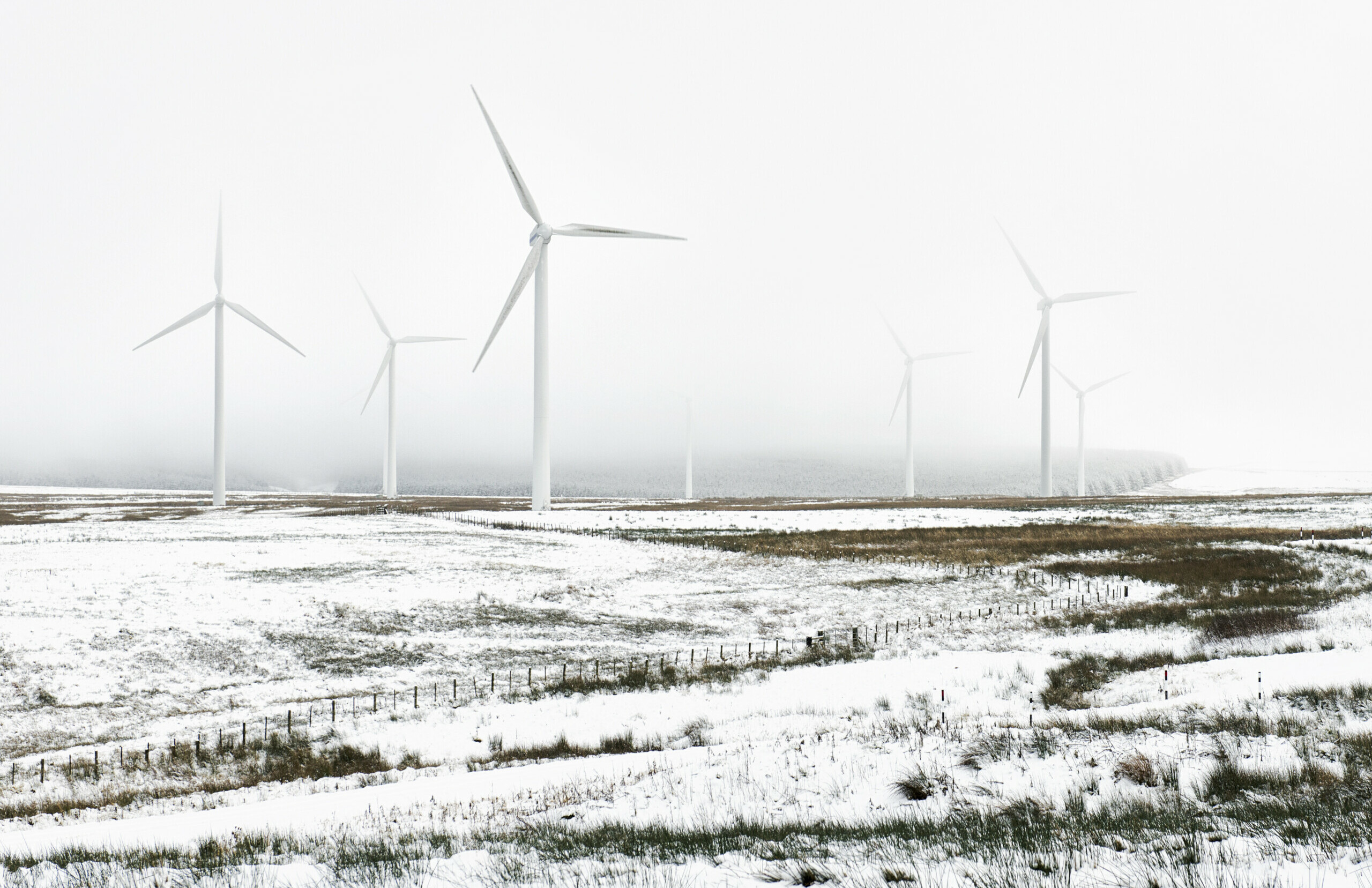 A cluster of wind turbines viewed in the distance across flat, snowy moorland. The sky is grey and misty.