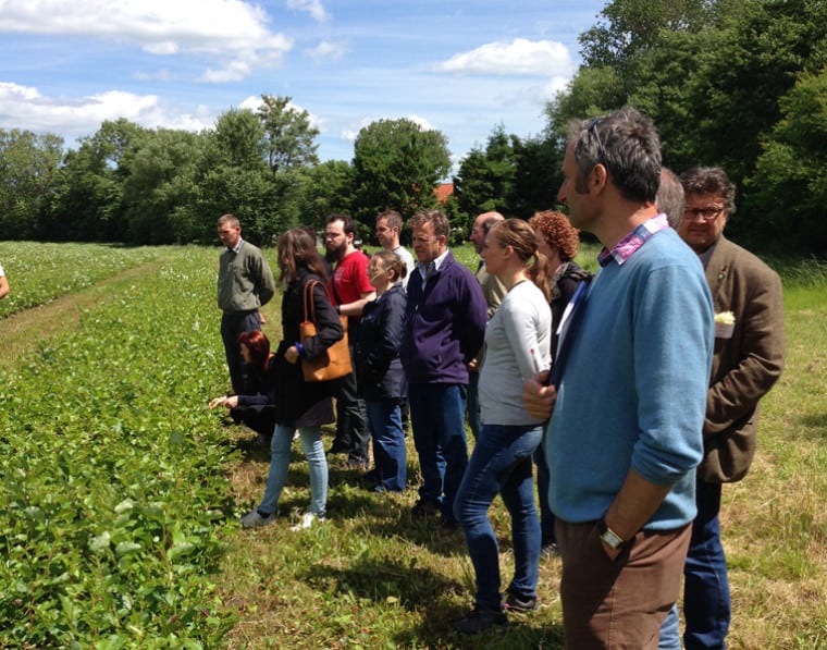 A group of people stand next to some crops in a field