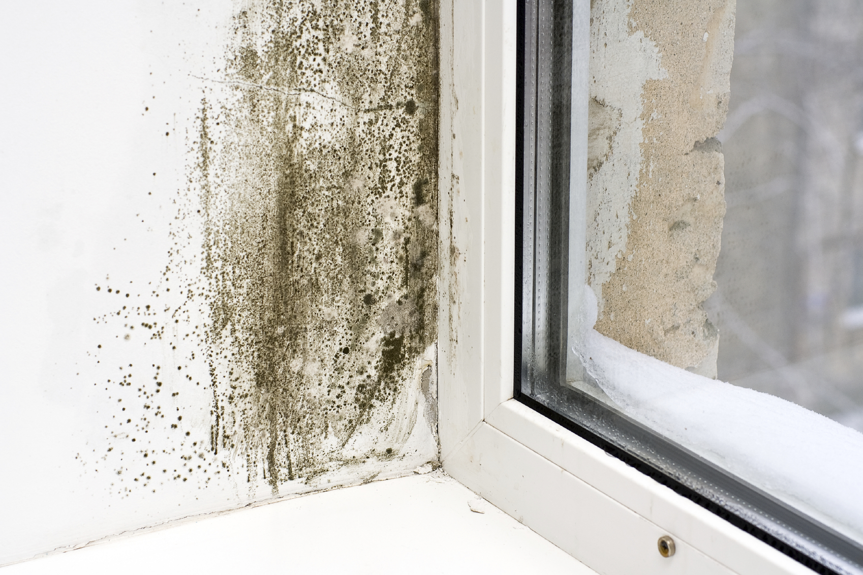 A window ledge with speckles of black mould. 