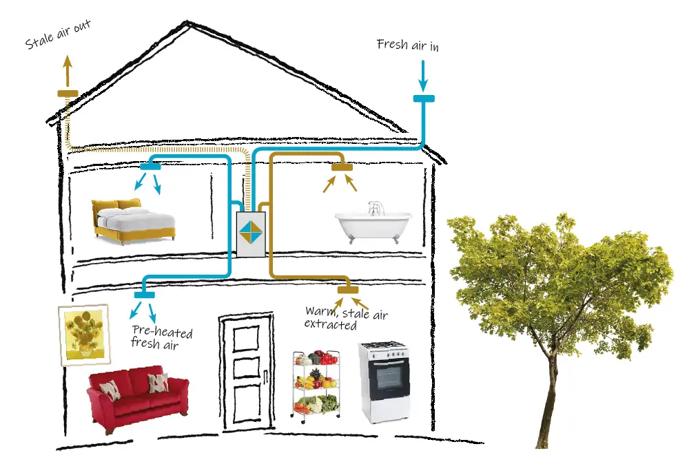 Graphic showing a cross section of a house to demonstrate how a mechanical ventilation with heat recovery system works.