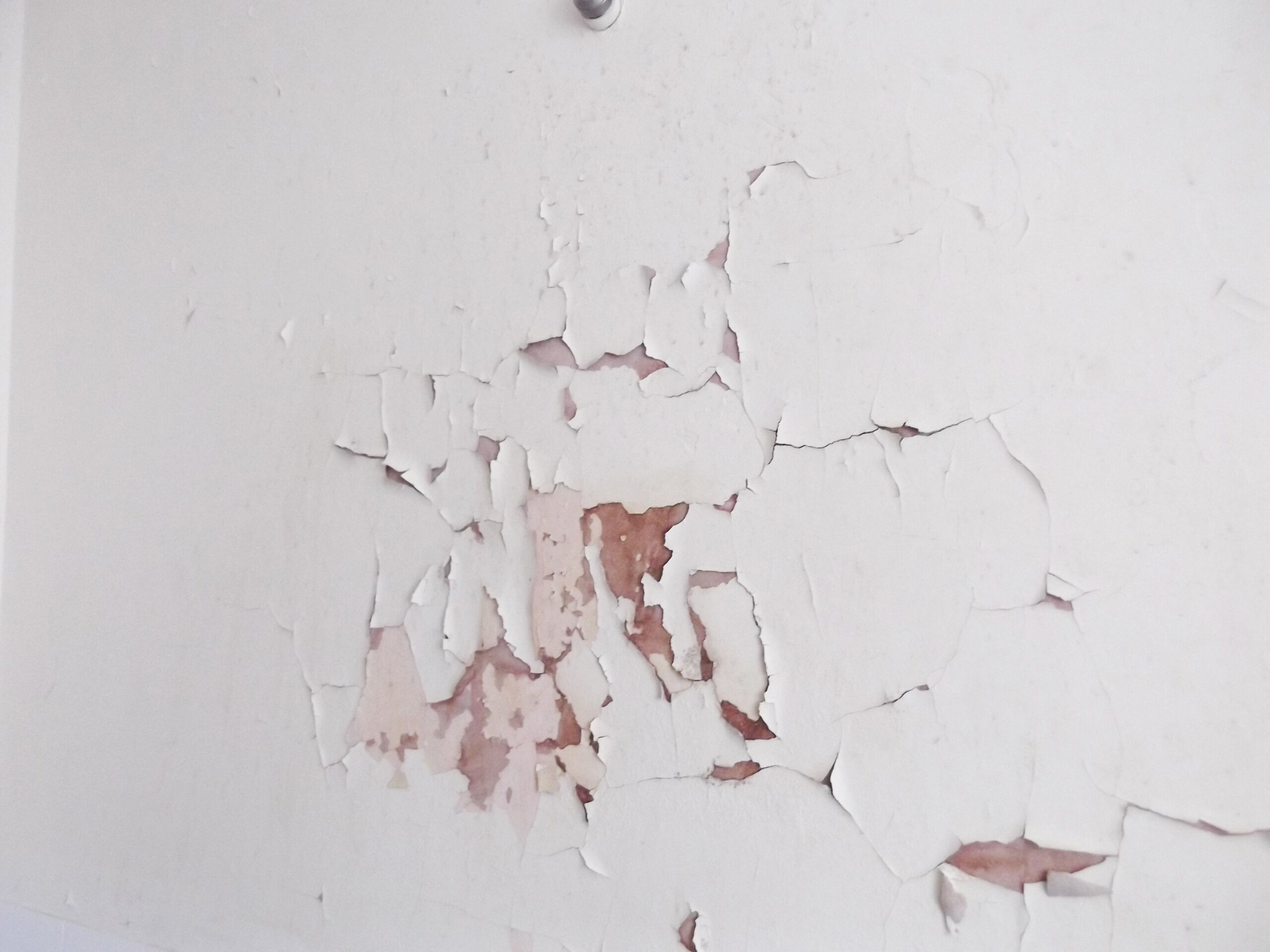 Paint flaking away from a wall.