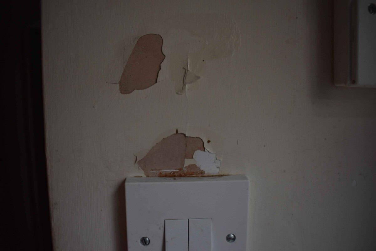 White paint peeling off of a wall.
