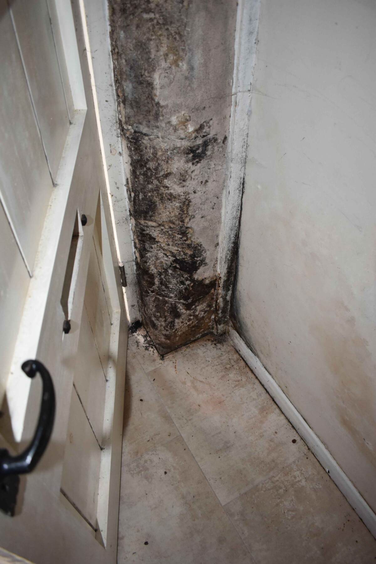 Black mould behind a white wooden door.